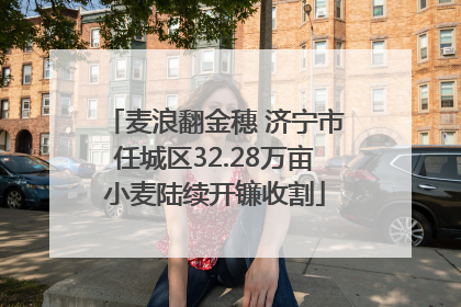 麦浪翻金穗 济宁市任城区32.28万亩小麦陆续开镰收割