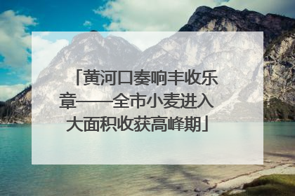 黄河口奏响丰收乐章——全市小麦进入大面积收获高峰期
