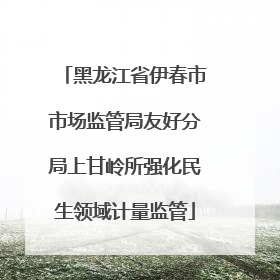 黑龙江省伊春市市场监管局友好分局上甘岭所强化民生领域计量监管