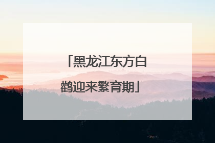 黑龙江东方白鹳迎来繁育期