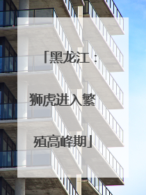 黑龙江：狮虎进入繁殖高峰期