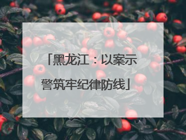 黑龙江：以案示警筑牢纪律防线