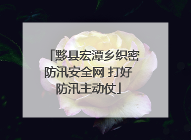 黟县宏潭乡织密防汛安全网 打好防汛主动仗