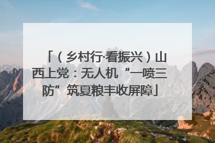 （乡村行·看振兴）山西上党：无人机“一喷三防”筑夏粮丰收屏障