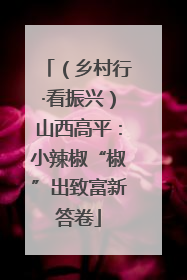 （乡村行·看振兴）山西高平：小辣椒“椒”出致富新答卷