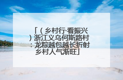（乡村行·看振兴）浙江义乌何斯路村：龙粽越包越长折射乡村人气渐旺