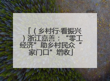 （乡村行·看振兴）浙江嘉善：“零工经济”助乡村民众“家门口”增收