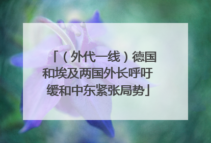 （外代一线）德国和埃及两国外长呼吁缓和中东紧张局势