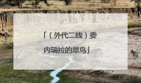 （外代二线）委内瑞拉的翠鸟