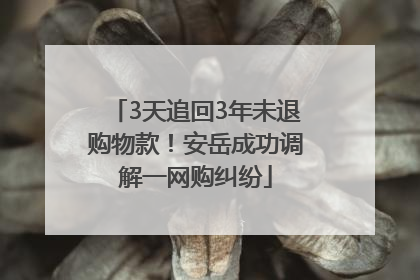 3天追回3年未退购物款！安岳成功调解一网购纠纷