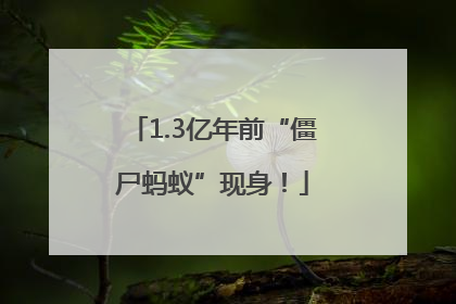 1.3亿年前“僵尸蚂蚁”现身！