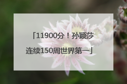 11900分！孙颖莎连续150周世界第一