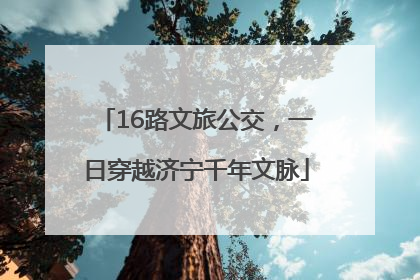 16路文旅公交，一日穿越济宁千年文脉