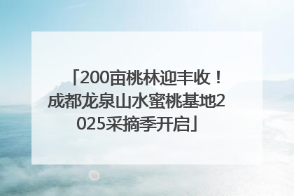 200亩桃林迎丰收！成都龙泉山水蜜桃基地2025采摘季开启