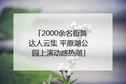 2000余名街舞达人云集 平原湖公园上演动感热潮