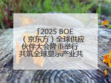 2025 BOE（京东方）全球供应伙伴大会隆重举行 共筑全球显示产业共生共赢新格局