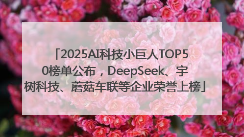2025AI科技小巨人TOP50榜单公布，DeepSeek、宇树科技、蘑菇车联等企业荣誉上榜