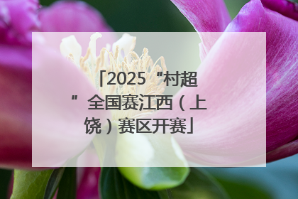 2025“村超”全国赛江西（上饶）赛区开赛