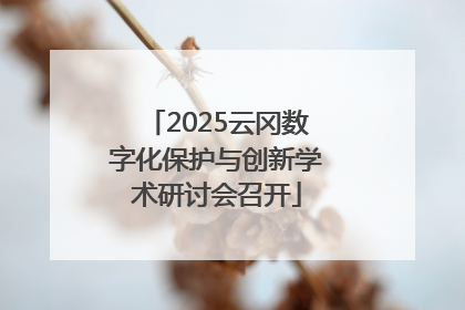 2025云冈数字化保护与创新学术研讨会召开