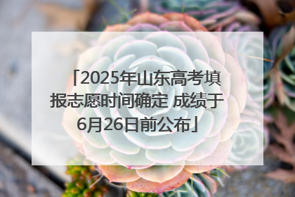 2025年山东高考填报志愿时间确定 成绩于6月26日前公布