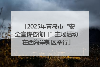 2025年青岛市“安全宣传咨询日”主场活动在西海岸新区举行