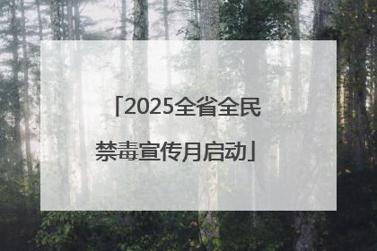 2025全省全民禁毒宣传月启动
