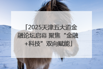 2025天津五大道金融论坛启幕 聚焦“金融+科技”双向赋能