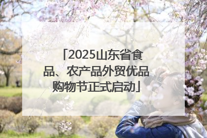 2025山东省食品、农产品外贸优品购物节正式启动