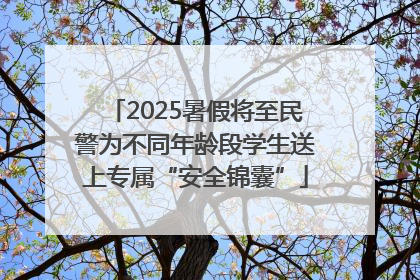 2025暑假将至民警为不同年龄段学生送上专属“安全锦囊”