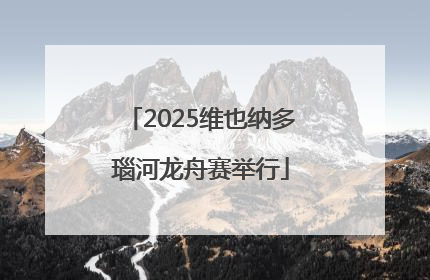 2025维也纳多瑙河龙舟赛举行