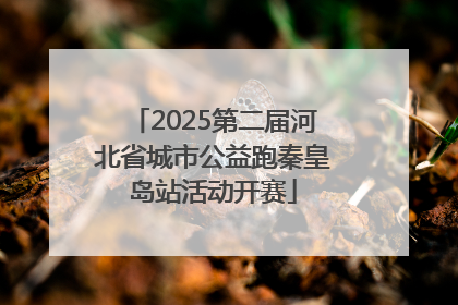 2025第二届河北省城市公益跑秦皇岛站活动开赛