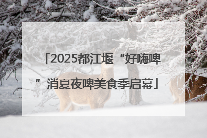 2025都江堰“好嗨啤”消夏夜啤美食季启幕