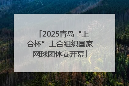 2025青岛“上合杯”上合组织国家网球团体赛开幕