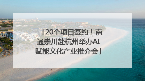 20个项目签约!南通崇川赴杭州举办AI赋能文化产业推介会