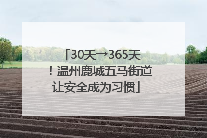 30天→365天！温州鹿城五马街道让安全成为习惯