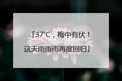 37℃，梅中有伏！这天雨雨雨再度回归