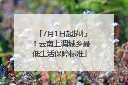 7月1日起执行！云南上调城乡最低生活保障标准