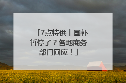 7点特供丨国补暂停了？各地商务部门回应！