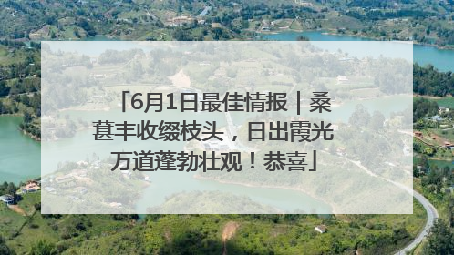6月1日最佳情报｜桑葚丰收缀枝头，日出霞光万道蓬勃壮观！恭喜