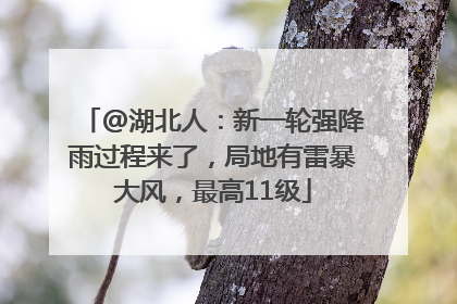 @湖北人：新一轮强降雨过程来了，局地有雷暴大风，最高11级