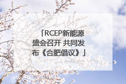 RCEP新能源盛会召开 共同发布《合肥倡议》